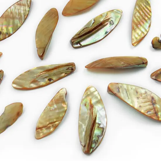 6 Packs of Leaf Tinted Shell Beads - Beige - 2 x 8" Strand {1}