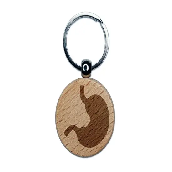 Stomach Anatomy Organ Body Part Engraved Wood Round Keychain Tag Charm {1}