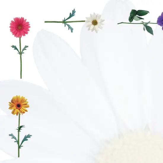 Great Papers! Daisies Stationery Letterhead, Invitations and Announcements, Printer Friendly, 8.5"x11", 80 Pack {2}