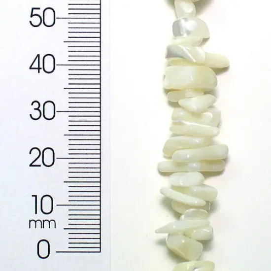 6 Packs of Shell Chips - Natural - 2 x 8" Strand {1}