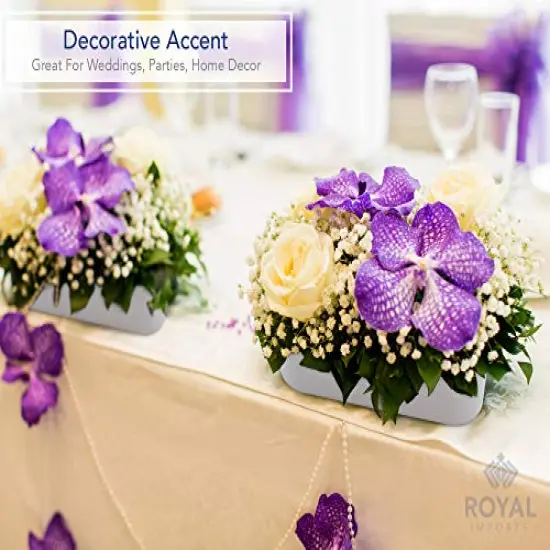 Flower Vase Acrylic Oval - Decorative Centerpiece for Home or Wedding - Non Breakable Plastic, 4" X12 Short Rounded - White {3}