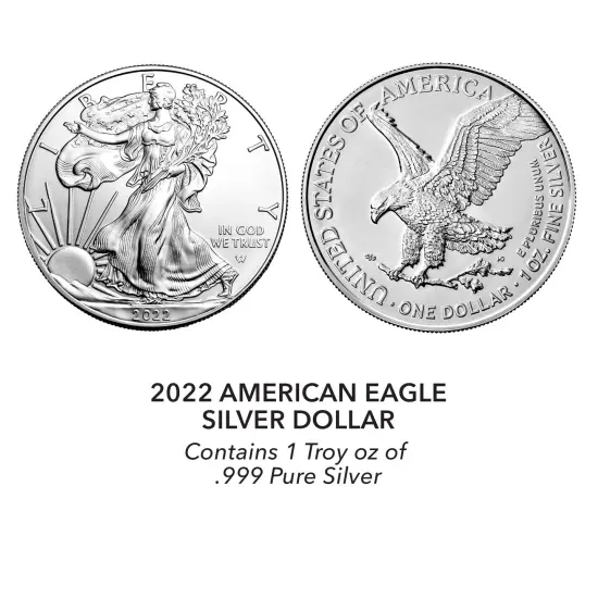 Happy Holidays American Eagle Silver Dollar Coin {6}