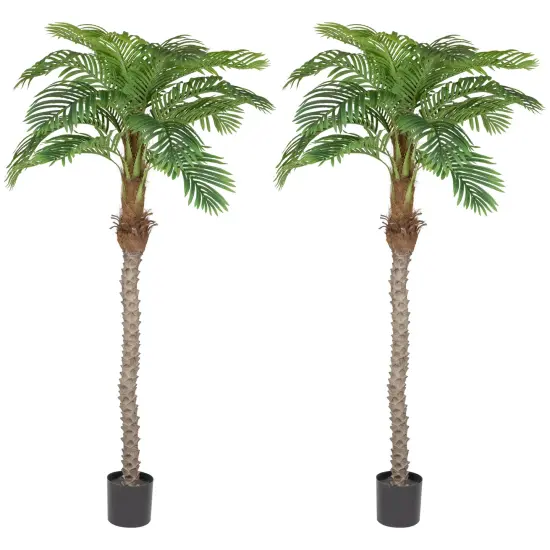 Northlight Artificial Potted Palm Trees - 6' - Set of 2 Green {1}