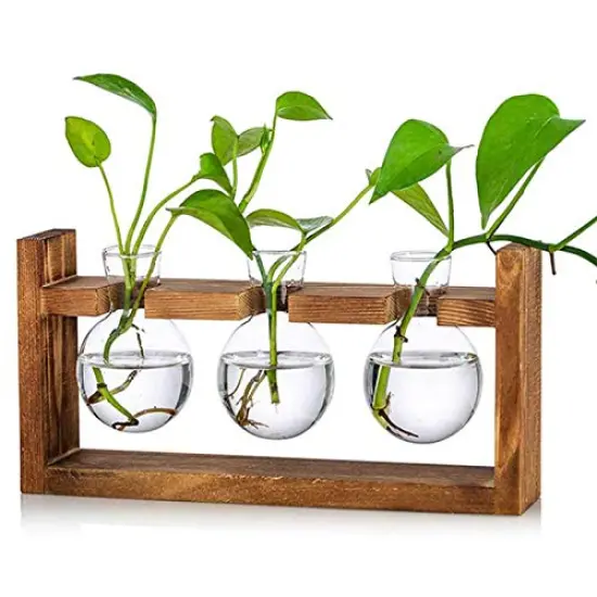 Plant Propagation Station Glass Terrarium Planter Flower Vase with Retro Solid Wooden Stand for Home Kitchen Indoor Garden Wedding Desktop Decor, 3 Bulb Vase {2}