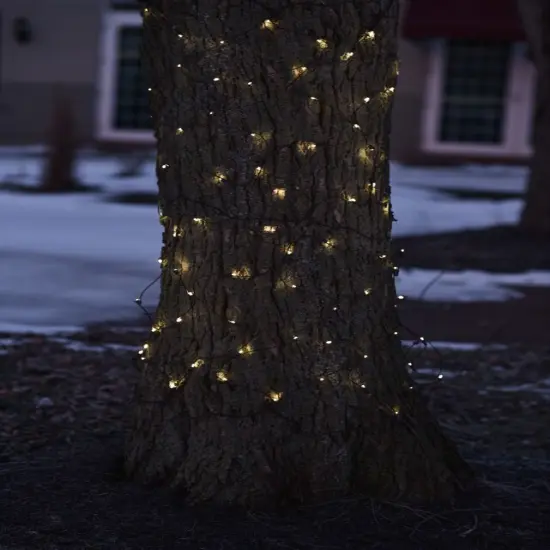 Northlight Net Style LED Tree Trunk Wrap Christmas Lights - 2' x 8' - Clear - Brown Wire {3}