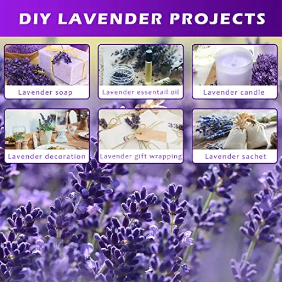 2 Bundles Dried Lavender Bundles, Uieke Natural Dried&nbsp;Lavender&nbsp;Flowers 280-300 Stems 16&ldquo; for Home Weeding Decoration Flower Arrangements Home Fragrance {4}