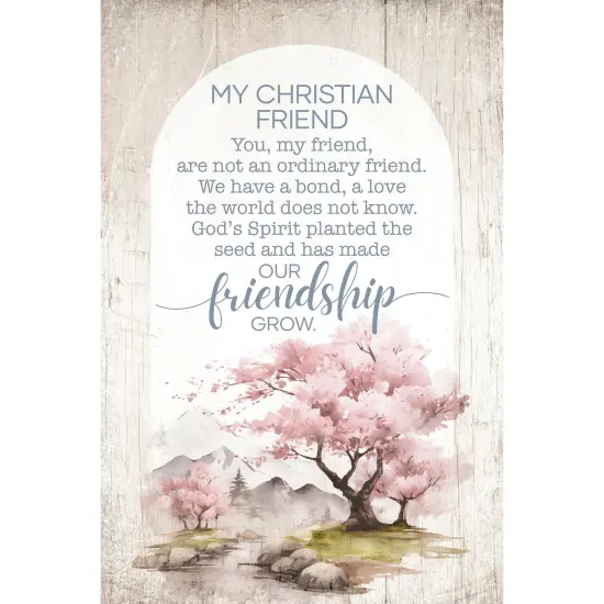 My Christian Friend Wood Plaque with Easel and Hook Wall Tabletop Art - 4 inches x 6 inches {1}