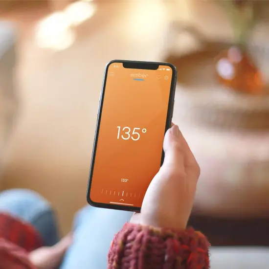 Ember Mug 2, 10 oz, Stainless Steel {2}