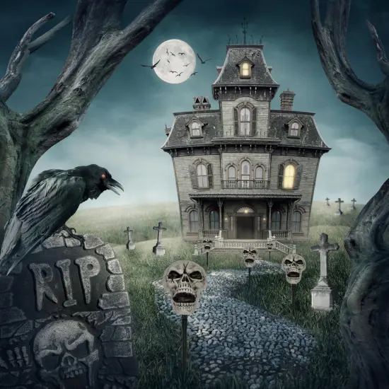 Northlight Set of 3 Skull Stakes Outdoor Yard Halloween Decorations Gray {3}