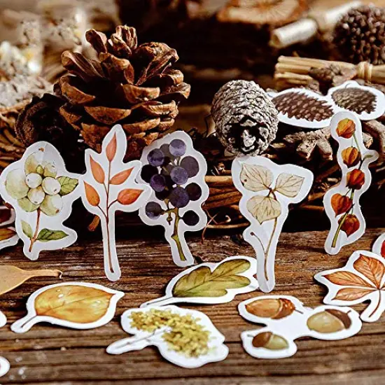 46 Pieces Small Size Fall Scrapbooking Laptop Stickers, Doraking Boxed DIY Decoration Autumn Leaves Stickers for Laptop, Planners, Scrapbook, Suitcase, Diary, Notebooks, Album(Falling Leaves, 46pcs/ Box) {5}