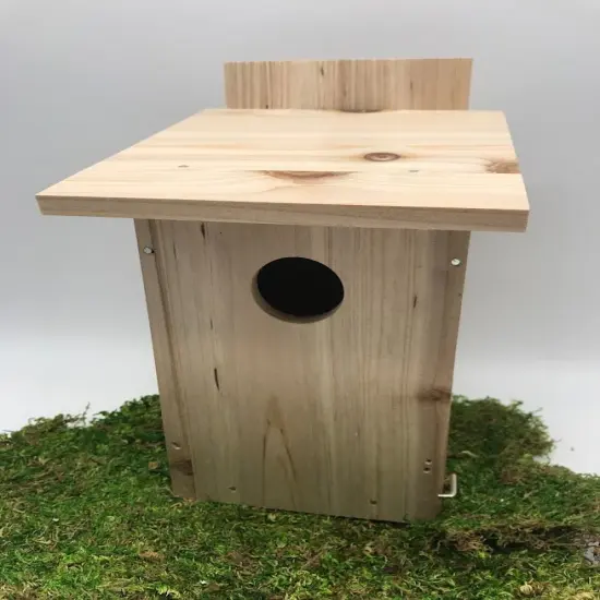 Kids DIY Birdhouse Kit - Inside Viewing Window {2}