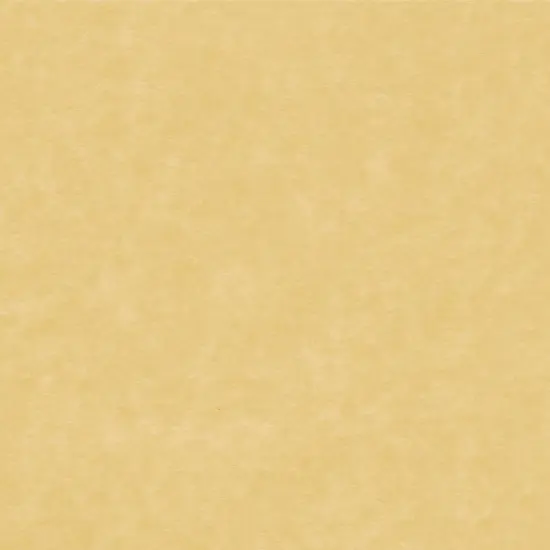 Great Papers! Parchment Paper Gold Stationery Letterhead, Invitations and Announcements, Printer Friendly, 8.5"x11", 100 Pack {1}