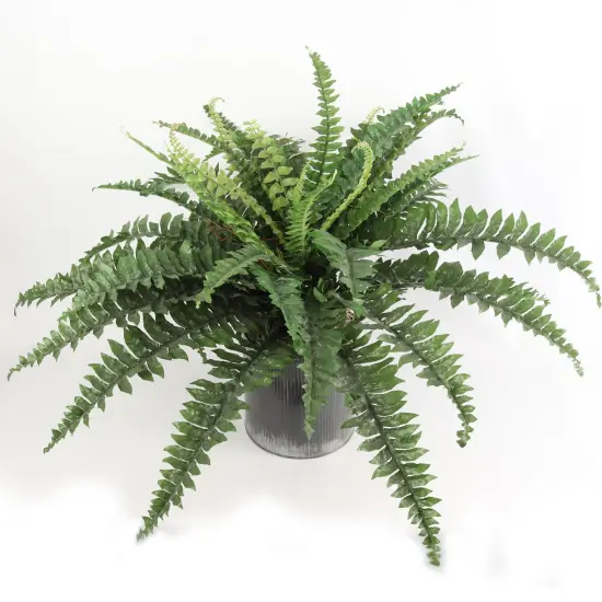 2-Pack Boston Fern Plant - 34" Wide, 42 Realistic Silk Fronds, UV Resistant, Faux Greenery for Indoor & Outdoor Decor by Floral Home&reg; {2}