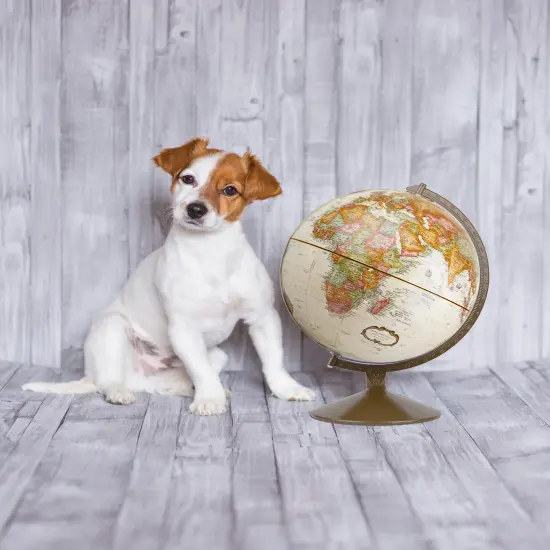 Franklin 12" Diameter Antique Ocean World Globe {2}