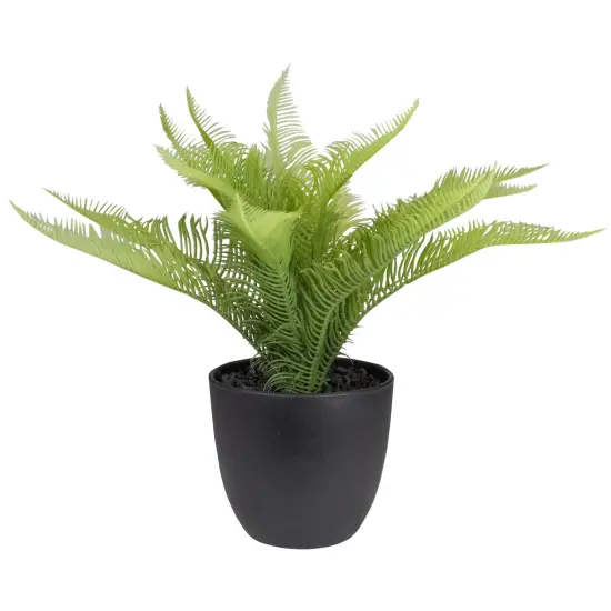Northlight 12" Potted Green Artificial Pinus Plant {1}