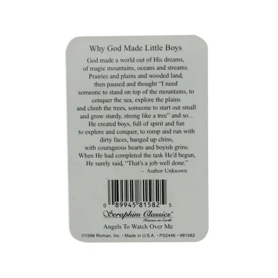 Roman Club Pack of 25 Seraphim Classics 'Why God Made Little Boys' Prayer Cards 3.5" Multi {3}