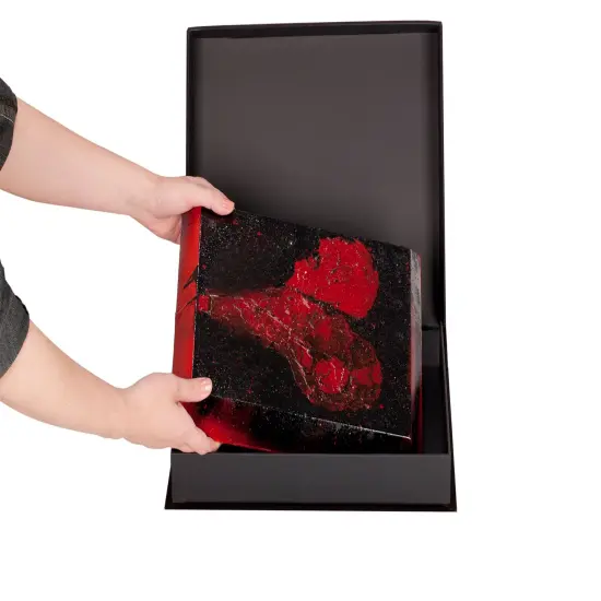 HG Concepts Art Photo Storage Box Eternity Archival Clamshell Box For Storing Artwork, Photos & Documents Deluxe Acid-Free Sturdy & Lined With Archival Paper {6}