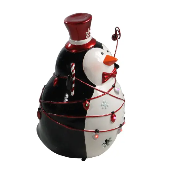 Northlight 14" Black and White Penguin LED Lighted Christmas Decor {3}