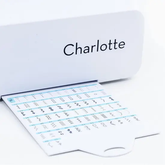 Eversewn Charlotte Computerized Sewing Machine {4}