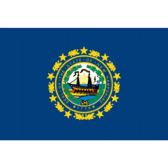 New Hampshire Flag with Grommets 3ft x 5ft {1}