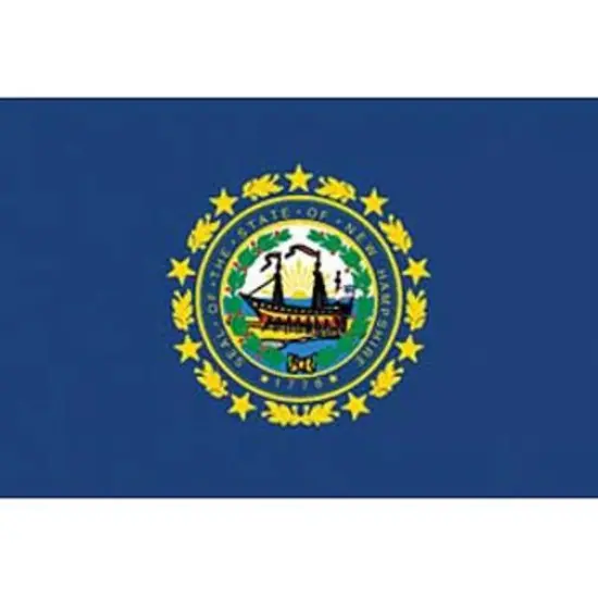New Hampshire Flag On Stick 4" x 6" {1}