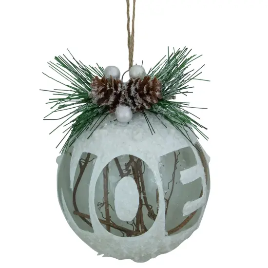 Northlight 5" White Frosted NOEL With Holly and Berries Christmas Glass Ornament {1}