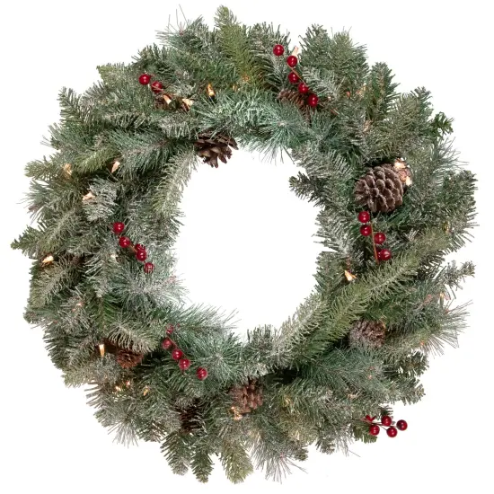 Northlight Pre-Lit Snowy Waterloo Pine Artificial Christmas Wreath - 24-Inch, Clear Lights Green {1}