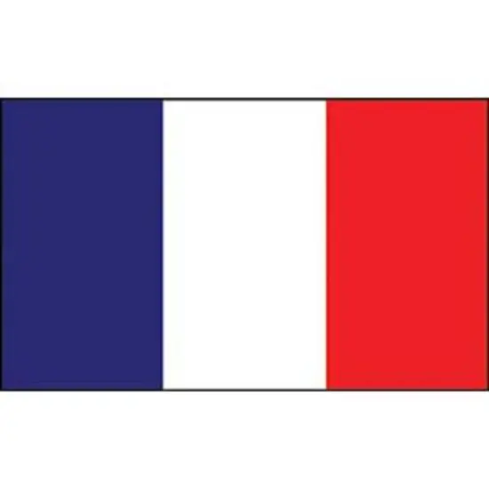 France Flag with Grommets 2ft x 3ft {1}