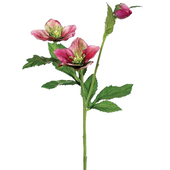 Allstate 22" Pink Helleborus Artificial Decorative Spray {1}