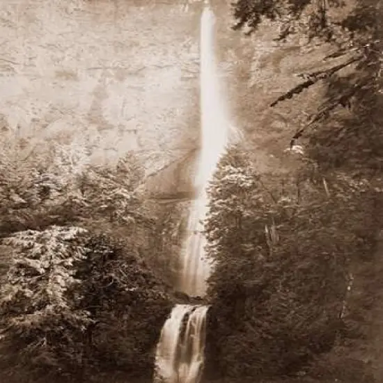 Multnomah Falls, Columbia River, Oregon, 2500 feet., 1867 Poster Print by Carleton Watkins - Item # VARPDX455363 {2}