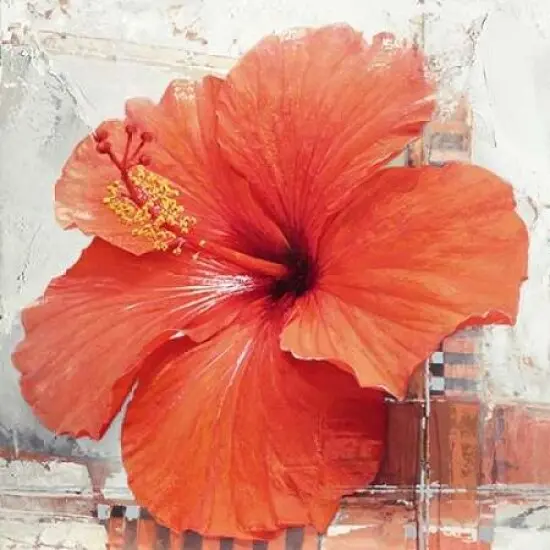 Hibiscus I Poster Print by Enrico Sestillo - Item # VARPDX7149 {1}