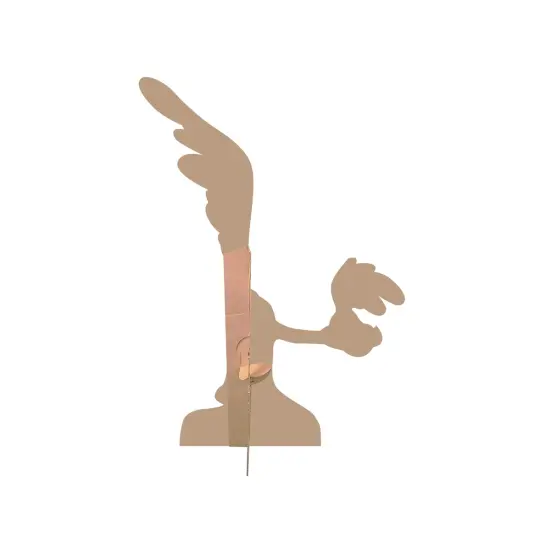 Road Runner (Looney Tunes) {2}