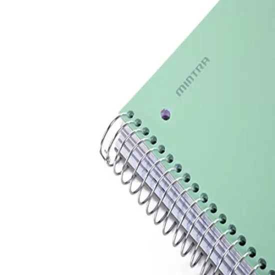 Office Durable Spiral Notebooks, 5 Subject, (Sage Green, Wide Ruled 1pk), 200 Sheets, 5 Poly Pockets, Moisture Resistant Cover, School, Office, Business, Professional {2}