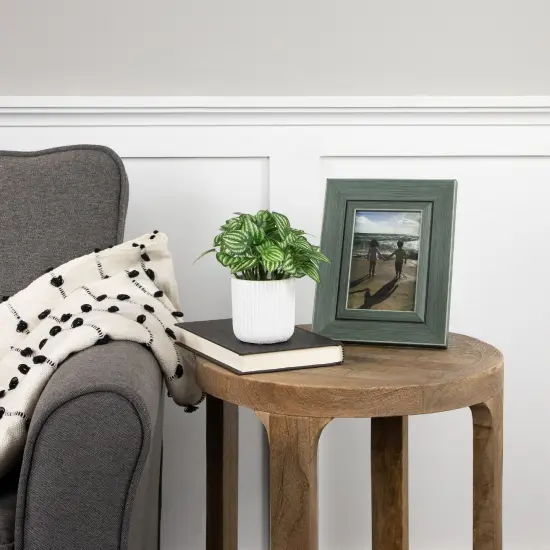 Northlight Artificial Watermelon Peperomia Plant in Pot - 6.5" Green {3}