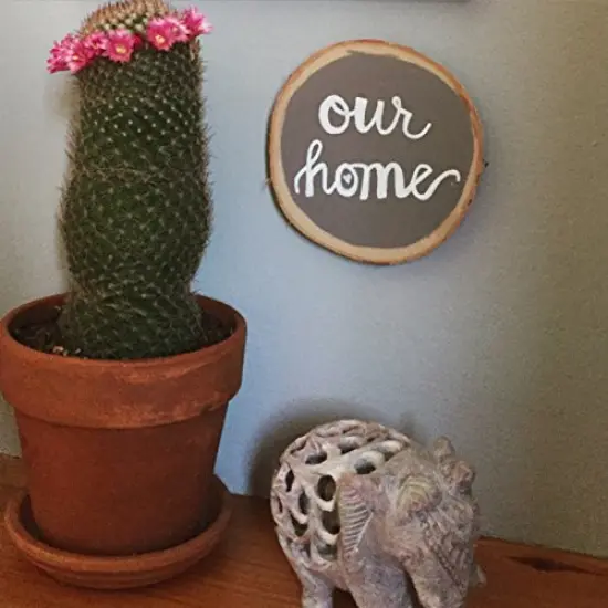 480-C-0 Broad Point Tip Bistro Window Chalk Marker, White {3}