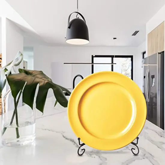 Teamkio Improved Anti-Slip Plate Holder Display Stand, Picture Frame Holder Stand, Easel Display Stand, Book Display Stand (10inch) {4}