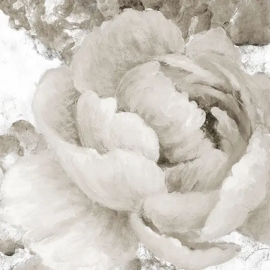 Light Grey Flowers II Poster Print by Lanie Loreth # 9905GC {1}