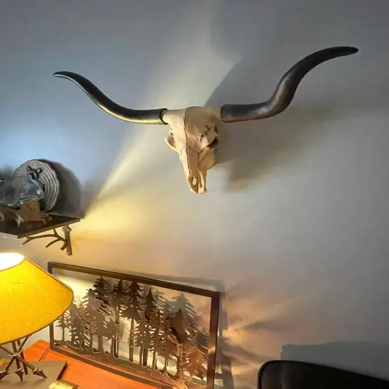 Huge Wall Hanging Longhorn Cow Skull 27in Wide Resin Long Horn Steer Wall Decor {6}
