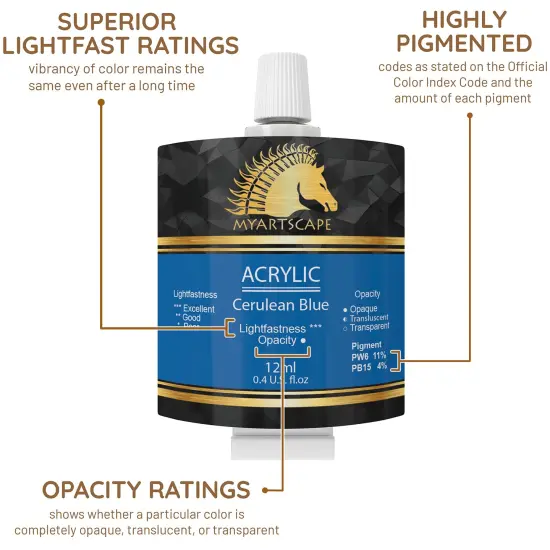 Acrylic Paint Set - 12 x 12ml Tubes - Lightfast - Heavy Body {6}