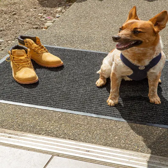 DII La Musica Embellished Dishtowel (Set of 2) {2}