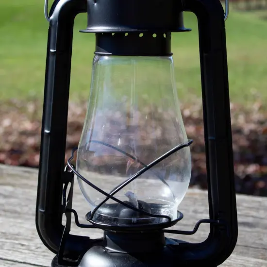 Dietz Replacement Globe (Blizzard, Monarch, Crescent) {3}