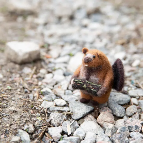 Felting kit Fedor {2}