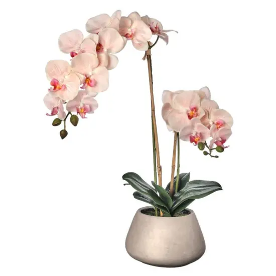 Real Touch Phalaenopsis Orchid in Cement Pot 24" Peach {1}