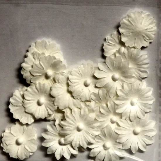 Designer Mini White Flowers 24 Pieces {1}