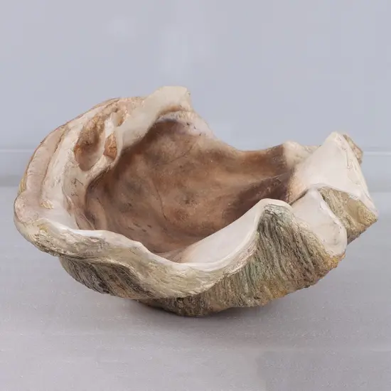 Clam Sea Shell Life Size Statue {5}