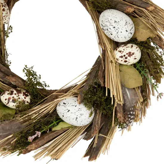 Northlight Speckled Eggs and Feathers Artificial Easter Wreath - 14" Brown {4}