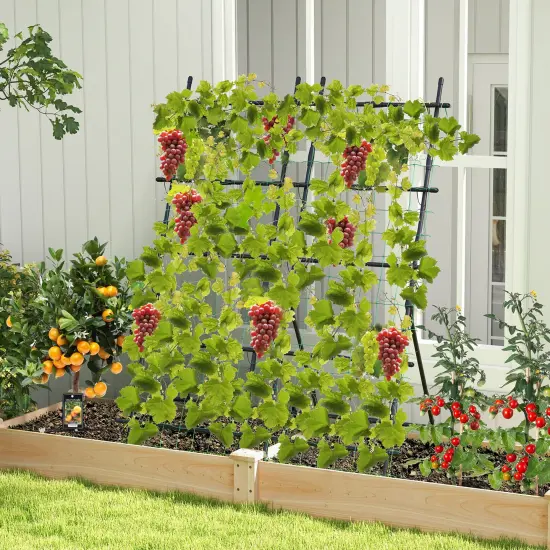 74 Inch Black Metal Tall A Shape Garden Trellis Perfect for Plant Growth Support {6}