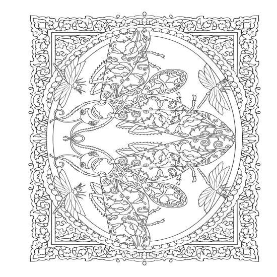 Creative Haven: Incredible Insect Design Coloring Book-Softcover {4}