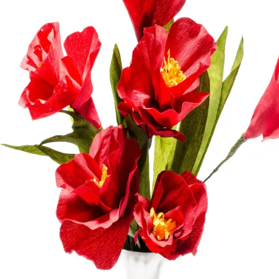 Lia Griffith Extra Fine Crepe Paper 10/Pkg-Enchanted Garden {3}