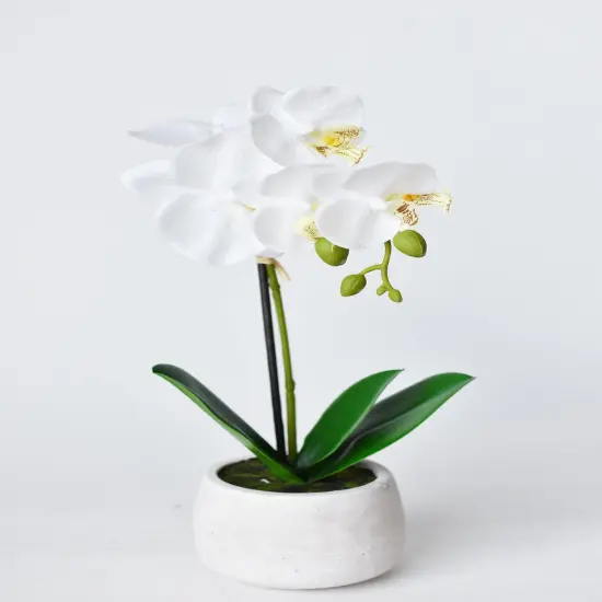 14" Faux Potted Orchid White {1}